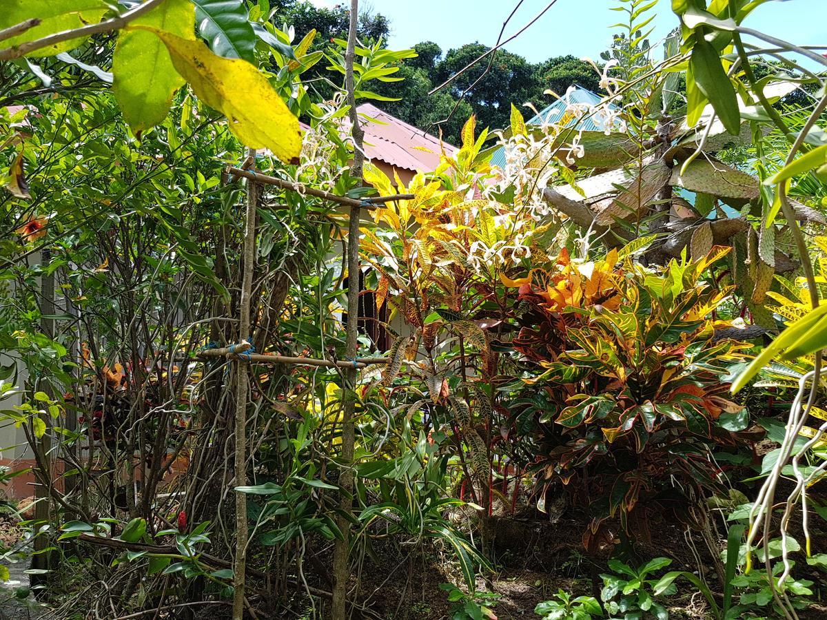 Island Bungalow La Digue Eksteriør billede